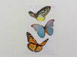 Mrs Grossman Butterflies Photoessence Sticker Sheet   Module - Vintage & Collectible 2009 Hot on Sale